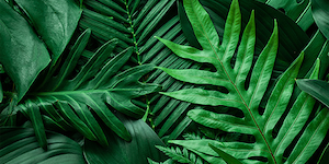 이미지가 없습니다.